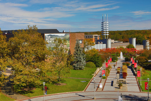 Stony Brook University