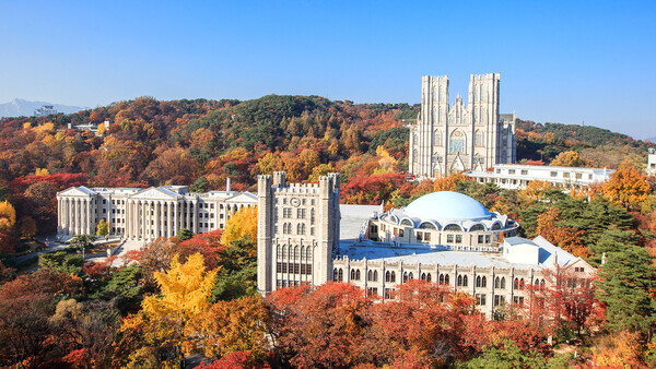 Korea University