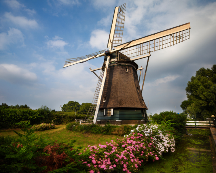 windmill