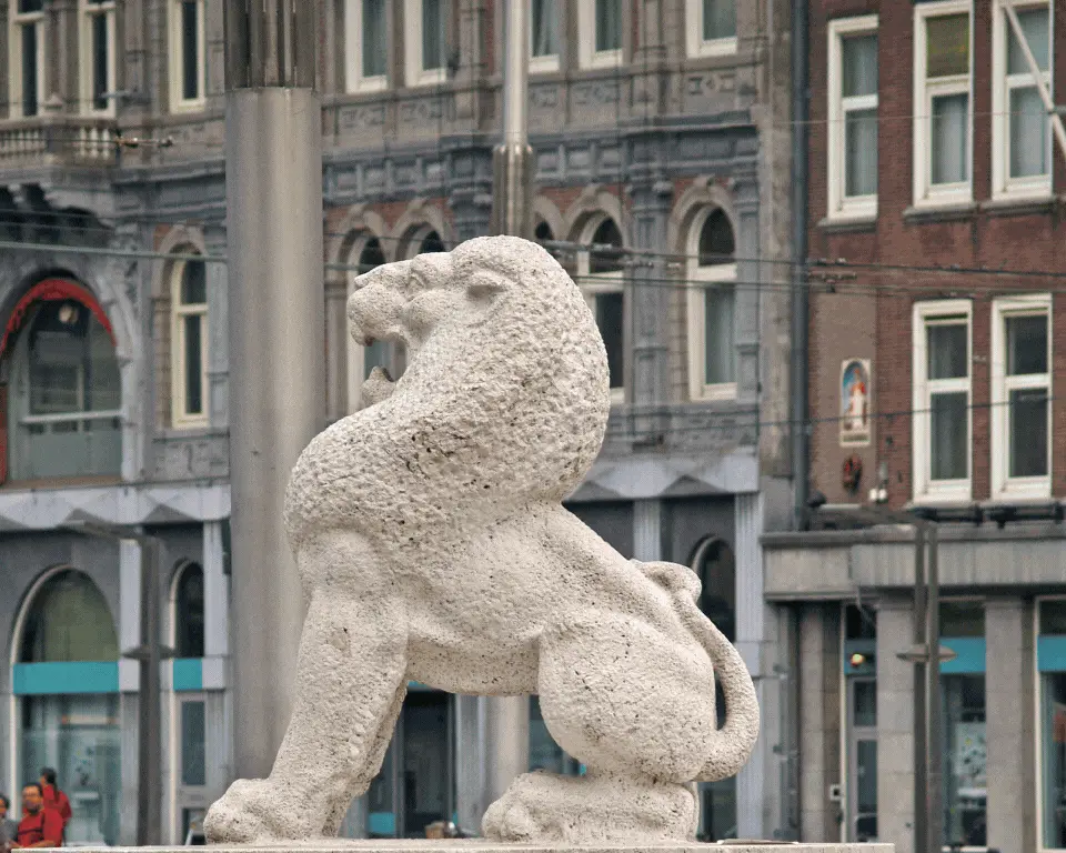 cow and lion gif