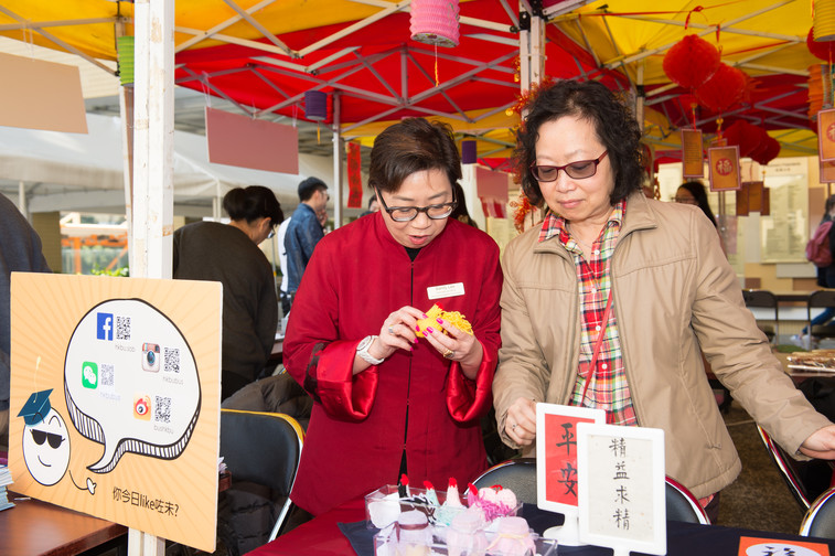 Image of Spring Festival 2017