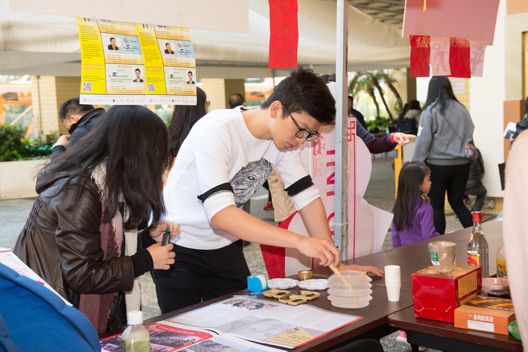 Image of Spring Festival 2017