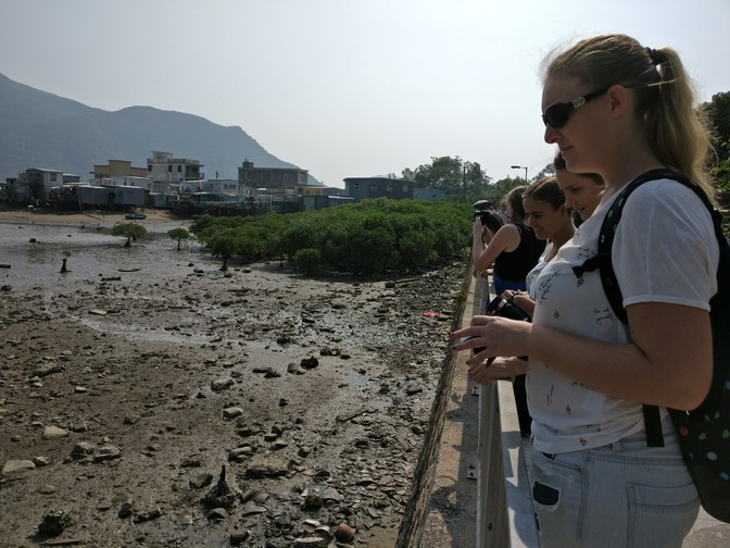 Image of Monthly Outing - Tai O Village