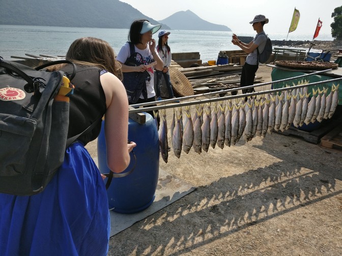 Image of Monthly Outing - Tai O Village
