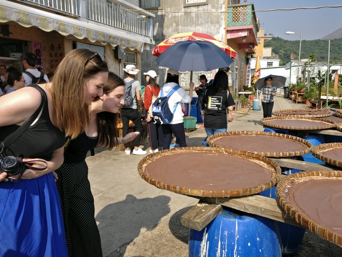 Image of Monthly Outing - Tai O Village
