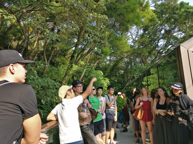 Image of Monthly Outing - Tai O Village