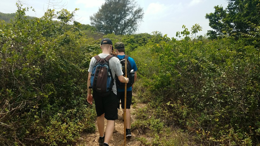 Image of Tung Ping Chau Geopark Island Day Trip