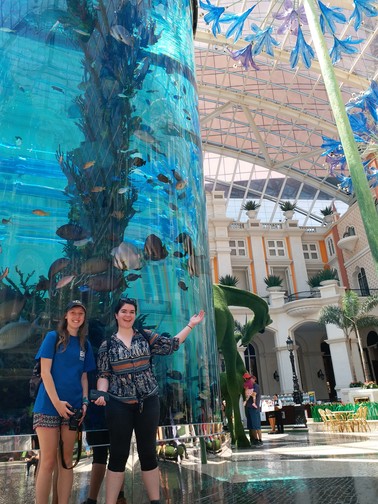 Image of HKBU Summer Programme 2018 - Macao & HK Tour