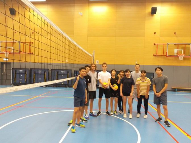 Image of Volleyball Fun