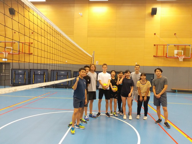 Image of Volleyball Fun