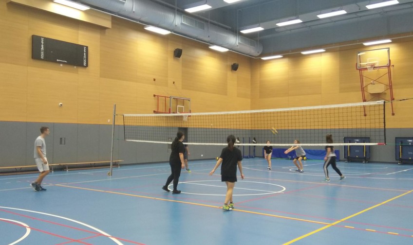 Image of Volleyball Fun