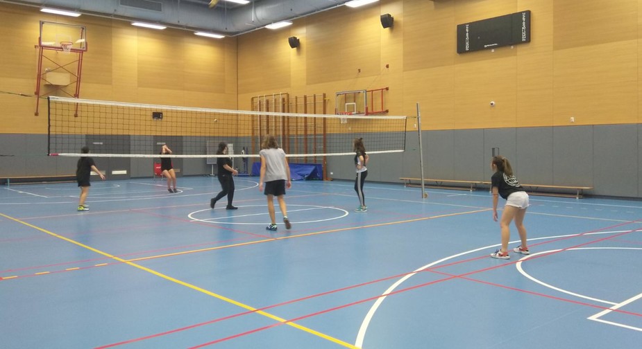 Image of Volleyball Fun
