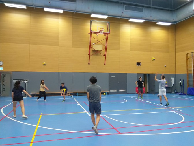 Image of Volleyball Fun