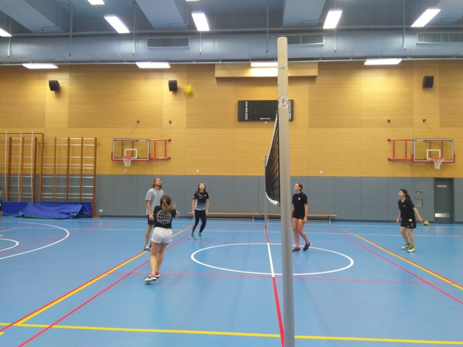 Image of Volleyball Fun