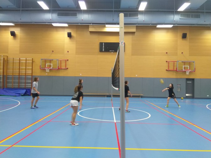 Image of Volleyball Fun