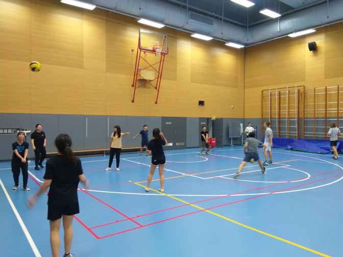 Image of Volleyball Fun