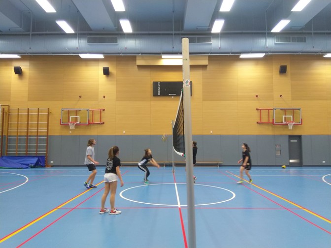 Image of Volleyball Fun