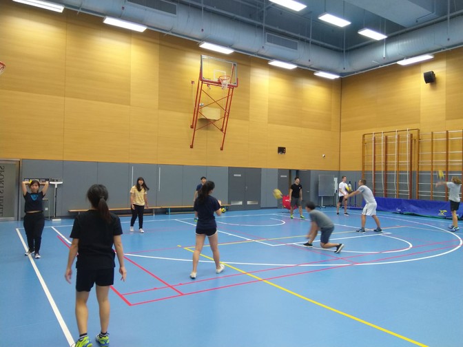 Image of Volleyball Fun