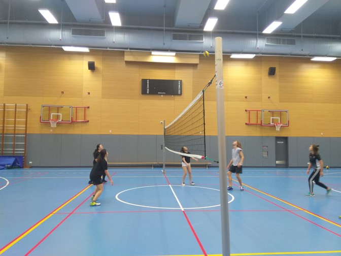 Image of Volleyball Fun