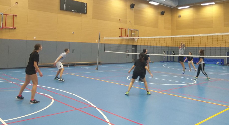Image of Volleyball Fun