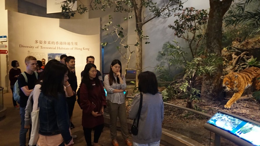 Image of Hong Kong Museum Of History 
