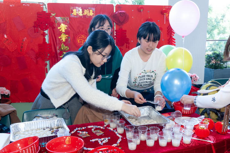 Image of Spring Festival 2019