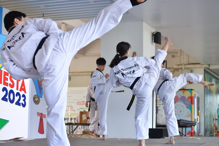 Image of CGiR Korean Fiesta 2023